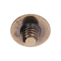 Schraube f&uuml;r Schwungmasse (Poliert, Blau, Rund, 2824) [906]