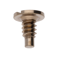 Schraube f&uuml;r Sperrrad (Poliert, Blau, Rund, 2824) [903]