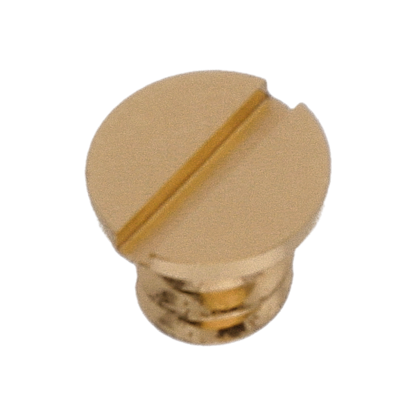 Schraube für Federhausbrücke (Poliert, Gelb, Flach, 2824) [901]