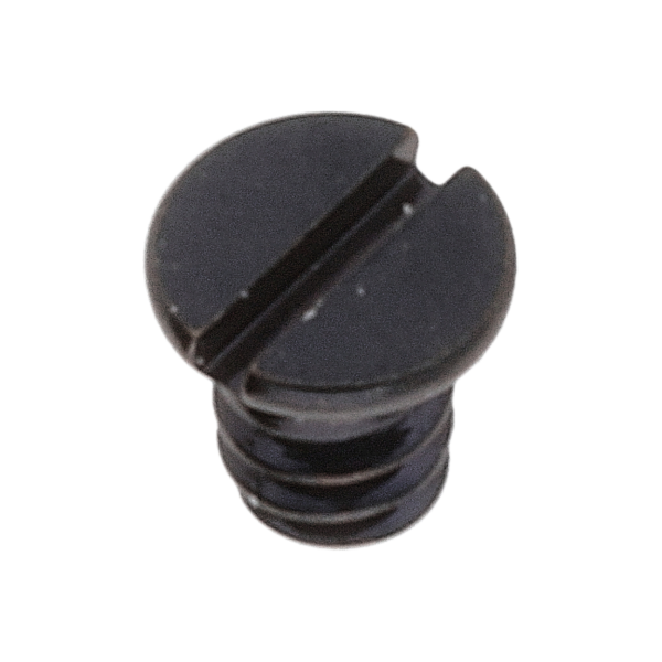 Schraube für Winkelhebelraste (Poliert, Schwarz, Flach, 2892) [900]