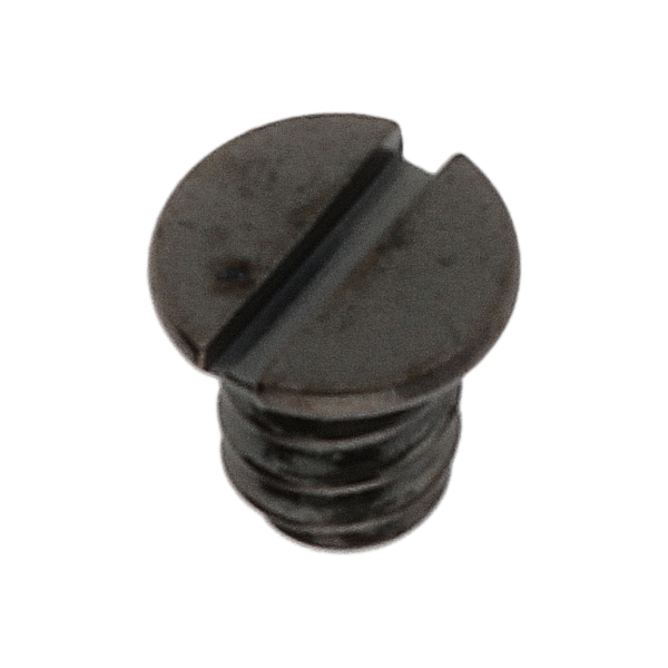 Schraube für Halteplatte für Datumanzeiger (Poliert, Schwarz, Rund, 2892) [900]