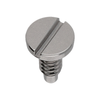 Schraube für Niederhaltefeder für Winkelhebel *alternativ*